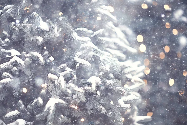 背景模糊 圣诞树外面 雪景装饰 — 图库照片