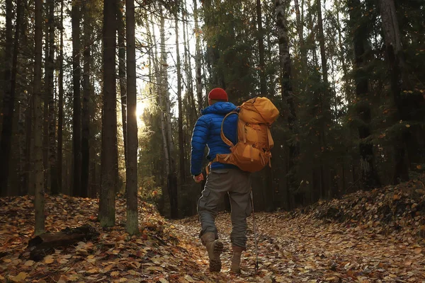 Man Backpack View Back Hiking Forest Autumn Landscape Back Tourist — Stock Photo, Image