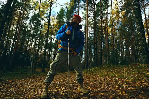 Herbstcamping Wald Ein Männlicher Reisender Geht Durch Den Wald Gelbe — Stockfoto