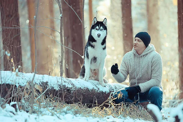 Kille Med Hund Promenader Vinterskogen Soligt Jullandskap Vänner Naturen Parken — Stockfoto