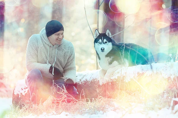 Человек Тренирует Собаку Зимний Лес Парень Хаски Собака Зимнем Лесном — стоковое фото