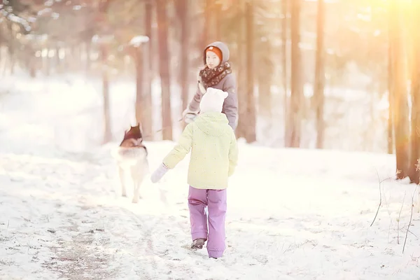 Niños Juegan Con Perro Paisaje Invernal Bosque Soleado Niñas Nevadas —  Fotos de Stock