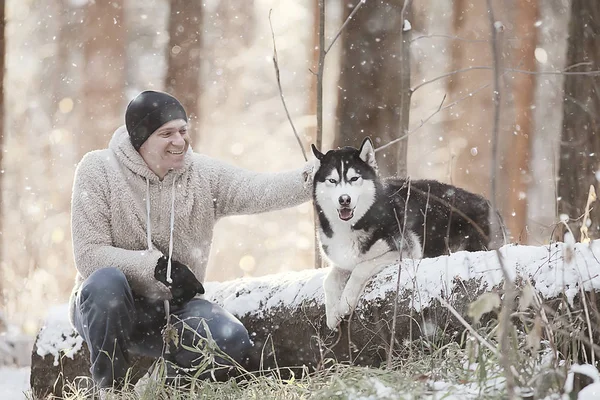 冬の森の中を犬と散歩する男晴れたクリスマスの風景公園の男と犬の自然界の友人 — ストック写真