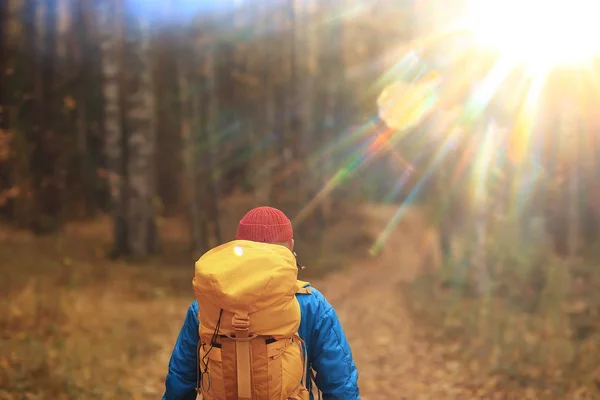 Man Met Rugzak Uitzicht Vanaf Rug Wandelen Het Bos Herfstlandschap — Stockfoto