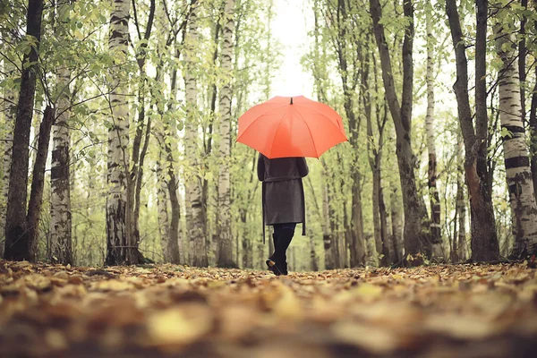 Őszi Megjelenés Napos Nap Egy Fiatal Lány Esernyővel Sétál Egy — Stock Fotó