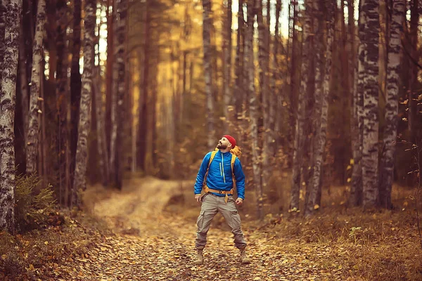 Turista Floresta Outono Uma Estrada Floresta Uma Aventura Floresta Outubro — Fotografia de Stock