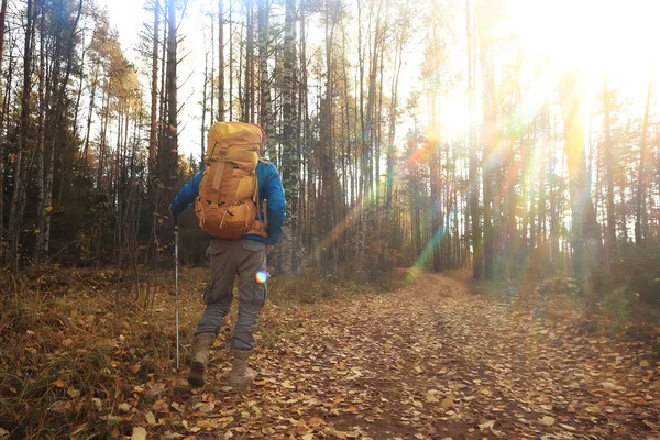 Hombre Con Mochila Una Vista Desde Parte Posterior Senderismo Bosque — Foto de Stock