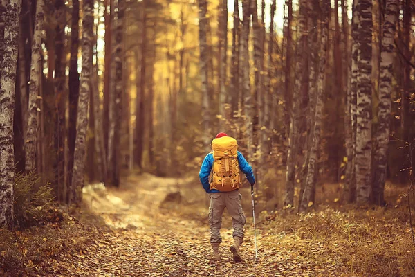 Man Met Rugzak Uitzicht Vanaf Rug Wandelen Het Bos Herfstlandschap — Stockfoto