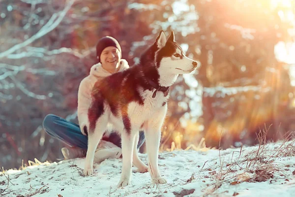 Cara Com Cão Caminha Floresta Inverno Ensolarado Paisagem Natal Amigos — Fotografia de Stock