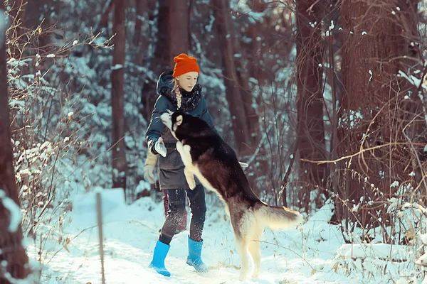 子供たちは日当たりの良い森の冬の風景の中で犬と遊んでいます — ストック写真