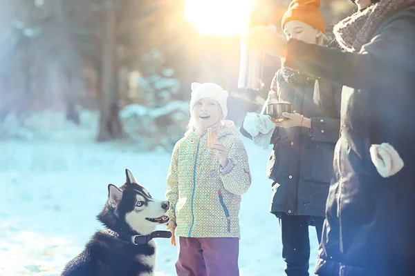 子供たちは日当たりの良い森の冬の風景の中で犬と遊んでいます — ストック写真