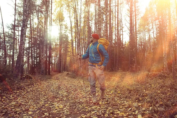 Herfst Wandeling Met Een Rugzak Zonnestralen Herfst Landschap Een Man — Stockfoto