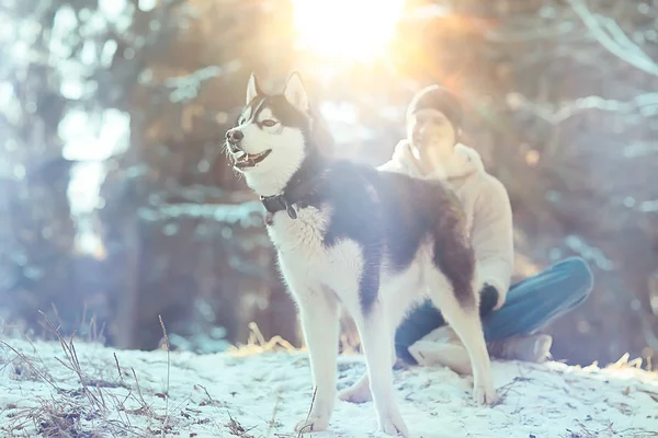Guy Dog Walks Winter Forest Sunny Christmas Landscape Friends Nature — Stock Photo, Image