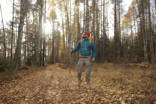 Höst Camping Skogen Manlig Resenär Går Genom Skogen Gula Löv — Stockfoto