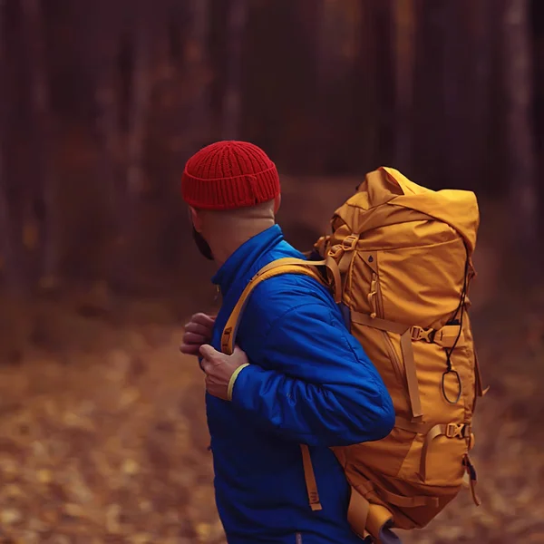 autumn camping in the forest, a male traveler is walking through the forest, yellow leaves landscape in October.