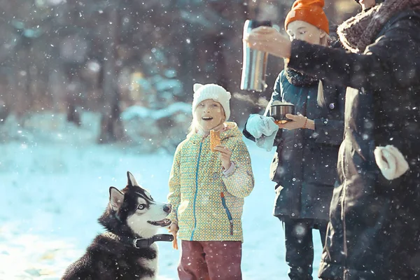 Kinder Spielen Mit Hund Der Winterlandschaft Eines Sonnigen Waldes Schneefallmädchen — Stockfoto