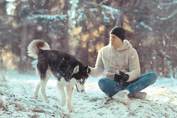 Człowiek Szkoli Psa Zimowy Las Facet Husky Pies Zimowym Krajobrazie — Zdjęcie stockowe