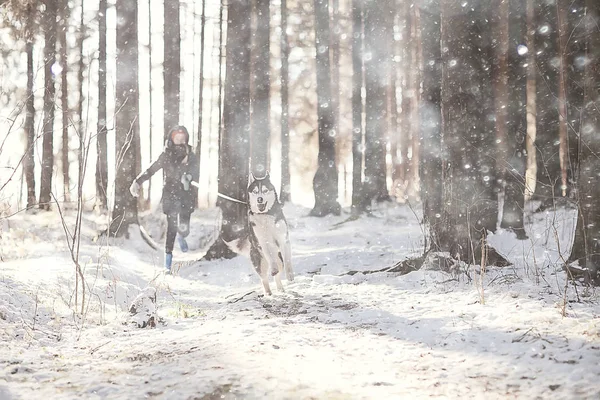 Barn Leker Med Hund Vinterlandskapet Solig Skog Snöfall Flickor Och — Stockfoto