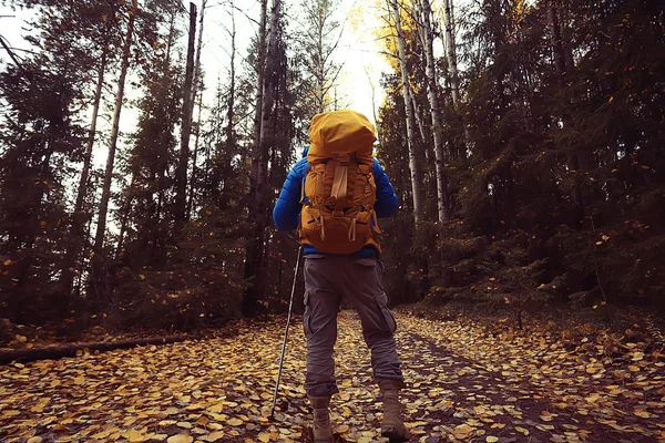 Homem Com Mochila Uma Vista Das Costas Caminhadas Floresta Paisagem — Fotografia de Stock