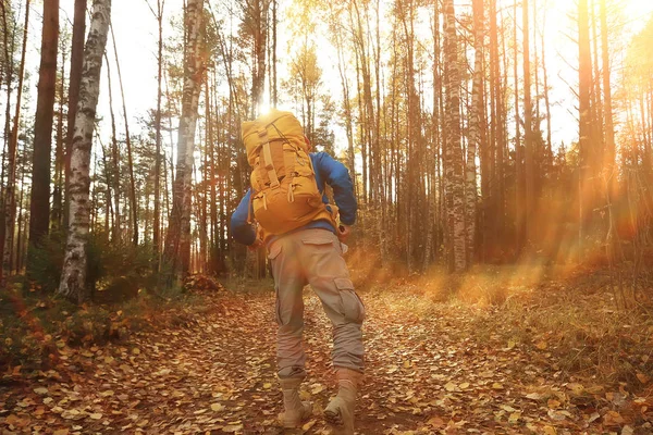 autumn hike with a backpack, sun rays, autumn landscape, a man in the forest glare of light sunset