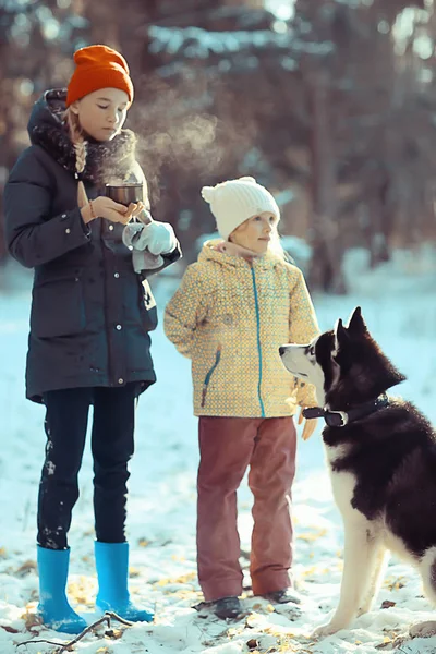 Çocuklar Güneşli Bir Ormanın Kış Manzarasında Köpekle Oynarlar Kar Yağışı — Stok fotoğraf