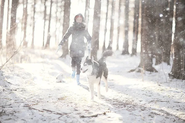 Kinder Spielen Mit Hund Der Winterlandschaft Eines Sonnigen Waldes Schneefallmädchen — Stockfoto