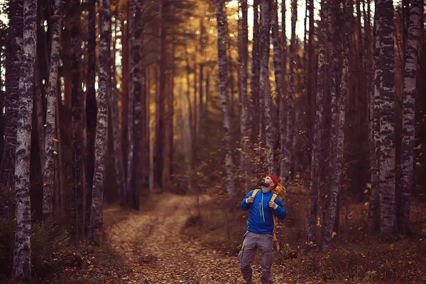 Turista Nella Foresta Autunnale Una Strada Forestale Avventura Nella Foresta — Foto Stock