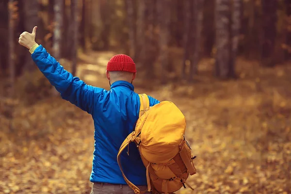 Mann Mit Rucksack Blick Von Hinten Wandern Wald Herbstlandschaft Touristenrücken — Stockfoto