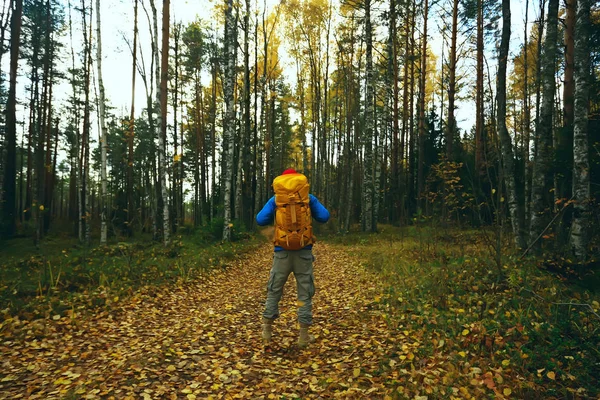 Férfi Hátizsákkal Kilátás Hátulról Túrázás Erdőben Őszi Táj Hátizsákos Turista — Stock Fotó