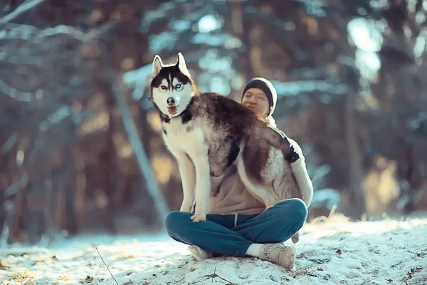 冬の森の風景の中で犬の冬の森 男と猫の犬を訓練します — ストック写真