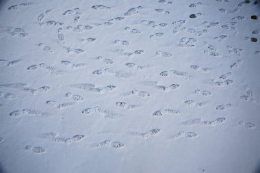 Asfalt kar, buz, ayakkabı izleri, kar havası.