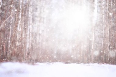 Orman arka planında kar fırtınası, bulanık arka planda bulanık kar taneleri kışın ormana düşüyor.