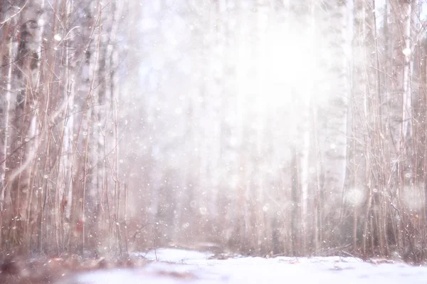 Paysage Neige Dans Forêt Forêt Couverte Neige Vue Panoramique Arbres — Photo