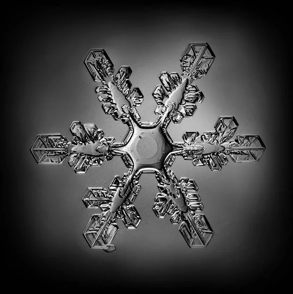 Macro Crystal Snowflake Isolated Photo Beautiful Transparent Crystal Water — Stock Photo, Image