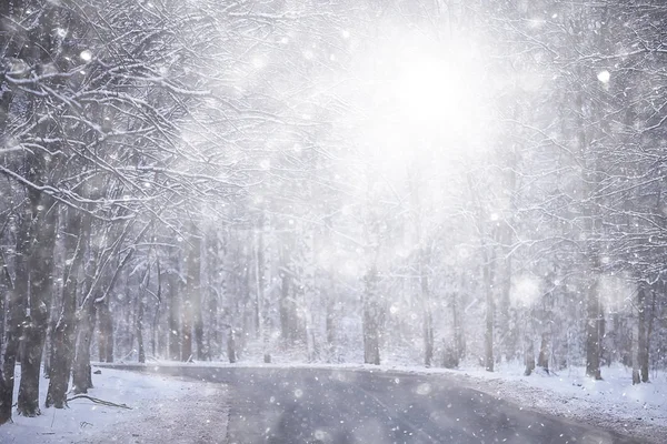 Landskap Snöfall Skogen Skog Täckt Med Snö Panoramautsikt Träd Snön — Stockfoto