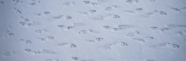 Pistes Asphalte Neige Glace Pistes Humaines Chaussures Temps Neige — Photo