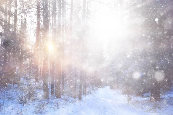 Tormenta Neve Sullo Sfondo Della Foresta Astratto Sfondo Sfocato Fiocchi — Foto Stock