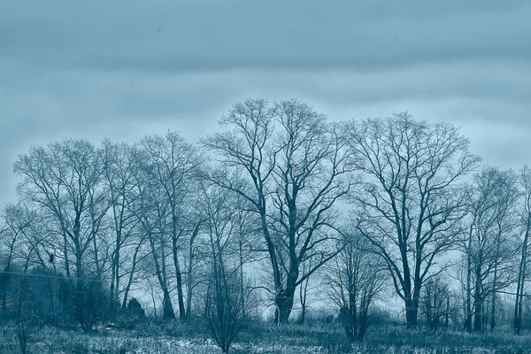 Paisaje Invierno Bosque Sombrío Paisaje Estacional Nieve Naturaleza Del Bosque — Foto de Stock