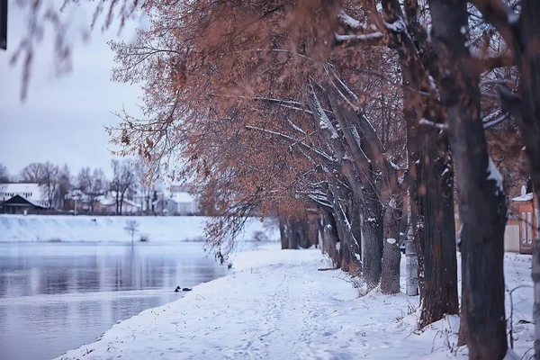 Vista Invernale Terrapieno Paesaggistico Del Fiume Città Paesaggio Novembre — Foto Stock