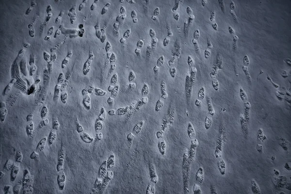 Tracks Asphalt Snow Ice Human Tracks Shoes Snow Weather — Stock Photo, Image