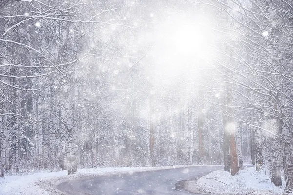 Śnieżyca Tle Lasu Abstrakcyjne Niewyraźne Tło Płatki Śniegu Spadające Zimowym — Zdjęcie stockowe
