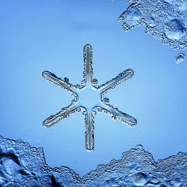 Floco Neve Cristal Macro Foto Isolada Bela Água Cristal Transparente — Fotografia de Stock