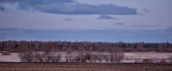 Paysage Rural Hivernal Vue Panoramique Saisonnier Janvier — Photo