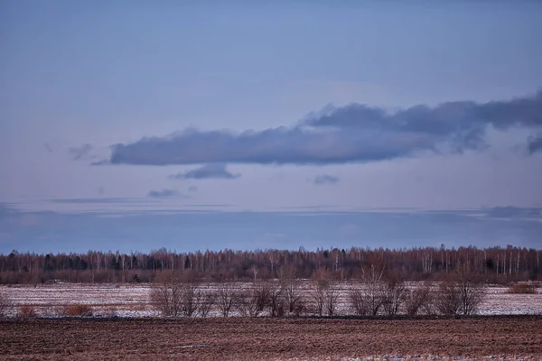 Kış Kırsal Arazisi Panoramik Manzara Mevsimlik Ocak Ayı — Stok fotoğraf