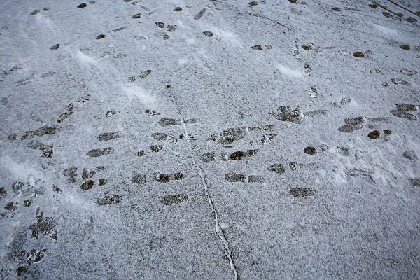Spuren Asphalt Schnee Eis Menschliche Spuren Von Schuhen Schneewetter — Stockfoto