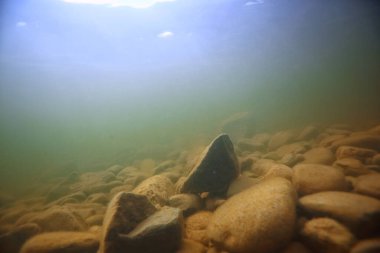 Işık ışınları su altında tatlı göl, soyut arkaplan doğa manzara güneş suyu