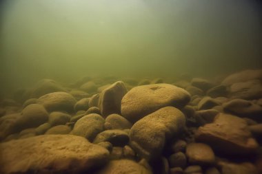 Su altı arazisindeki taşlar, su altında bulanık.