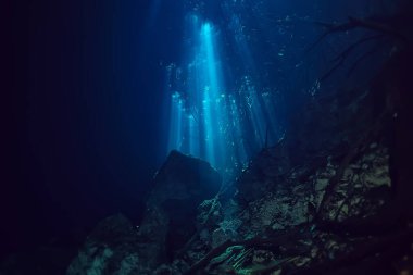 Meksika sualtı manzarası, suyun altında dalış ışınları, mağara dalışı