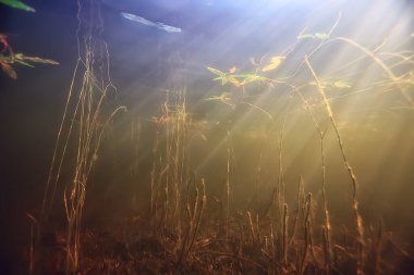 Işık ışınları su altında tatlı göl, soyut arkaplan doğa manzara güneş suyu