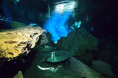 Su altı mağarası sarkıtları, mağara dalışı, Yucatan Meksika, deniz altı manzarası.